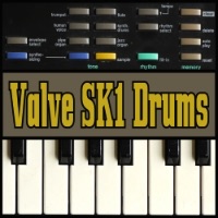 Valve SK1